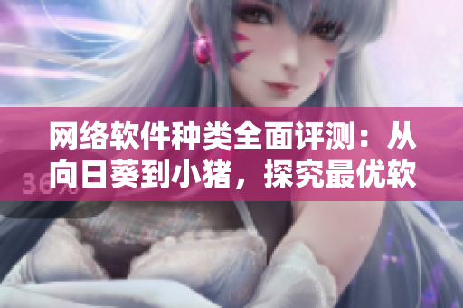 网络软件种类全面评测：从向日葵到小猪，探究最优软件选择