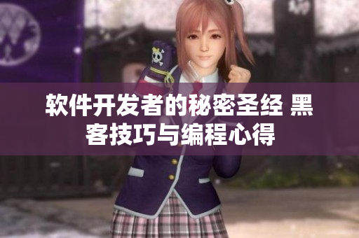 软件开发者的秘密圣经 黑客技巧与编程心得