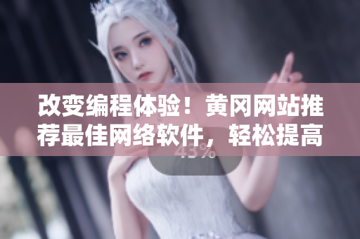 改变编程体验！黄冈网站推荐最佳网络软件，轻松提高软件开发效率