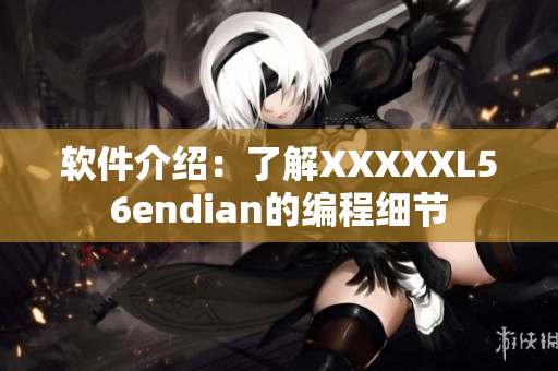 软件介绍：了解XXXXXL56endian的编程细节