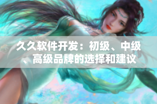 久久软件开发：初级、中级、高级品牌的选择和建议