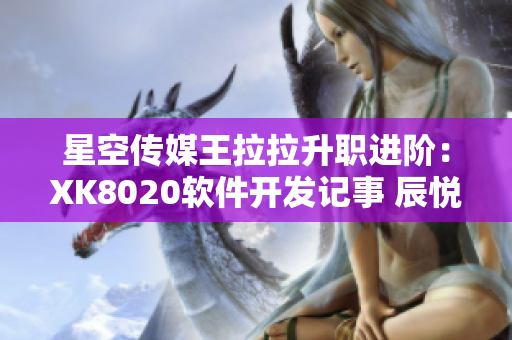 星空传媒王拉拉升职进阶：XK8020软件开发记事 辰悦全程解析