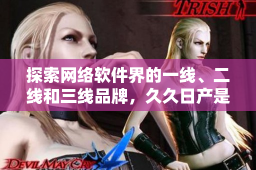 探索网络软件界的一线、二线和三线品牌，久久日产是哪一线？