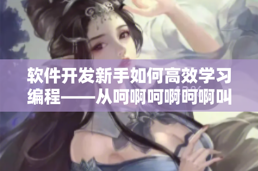 软件开发新手如何高效学习编程——从呵啊呵啊呵啊叫入手
