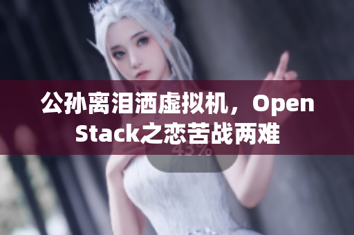 公孙离泪洒虚拟机，OpenStack之恋苦战两难