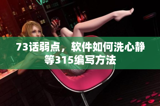 73话弱点，软件如何洗心静等315编写方法