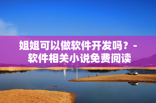姐姐可以做软件开发吗？- 软件相关小说免费阅读