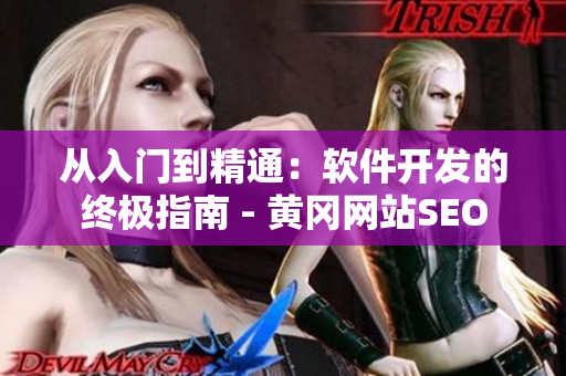 从入门到精通：软件开发的终极指南 - 黄冈网站SEO
