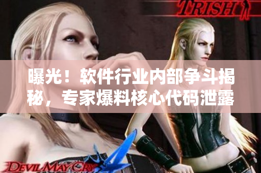 曝光！软件行业内部争斗揭秘，专家爆料核心代码泄露真相
