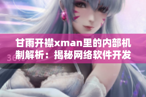 甘雨开襟xman里的内部机制解析：揭秘网络软件开发全过程