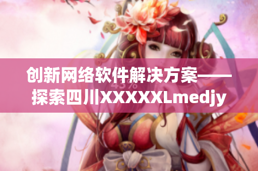 创新网络软件解决方案——探索四川XXXXXLmedjyf的成功之路