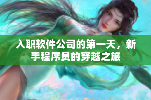 入职软件公司的第一天，新手程序员的穿越之旅