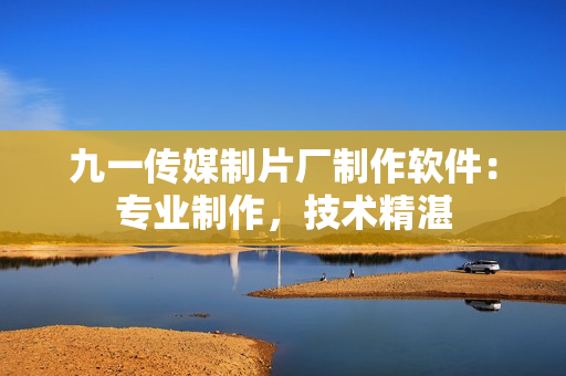 九一传媒制片厂制作软件：专业制作，技术精湛