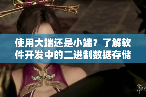 使用大端还是小端？了解软件开发中的二进制数据存储选择