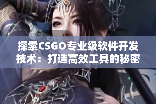 探索CSGO专业级软件开发技术：打造高效工具的秘密