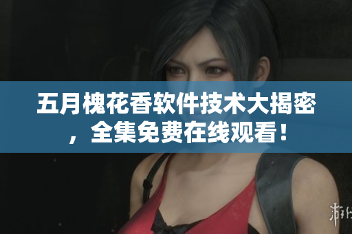 五月槐花香软件技术大揭密，全集免费在线观看！
