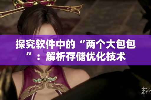 探究软件中的“两个大包包”：解析存储优化技术
