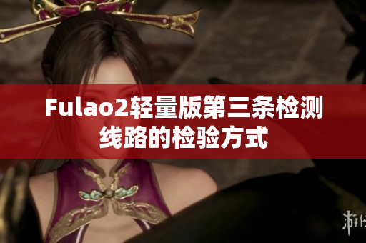 Fulao2轻量版第三条检测线路的检验方式