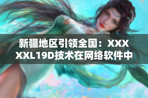 新疆地区引领全国：XXXXXL19D技术在网络软件中的应用