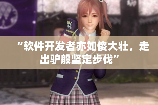 “软件开发者亦如傻大壮，走出驴般坚定步伐”