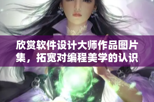 欣赏软件设计大师作品图片集，拓宽对编程美学的认识
