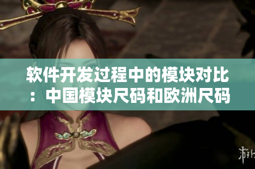 软件开发过程中的模块对比：中国模块尺码和欧洲尺码的区别