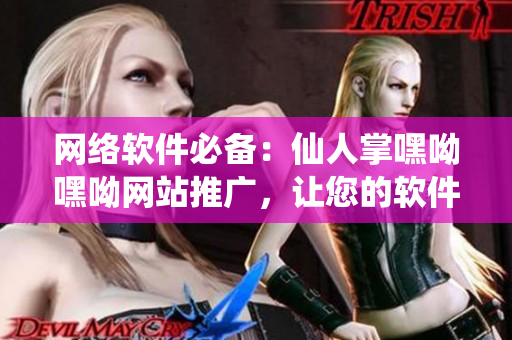网络软件必备：仙人掌嘿呦嘿呦网站推广，让您的软件更受欢迎