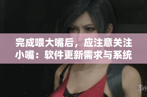 完成喂大嘴后，应注意关注小嘴：软件更新需求与系统维护全解析