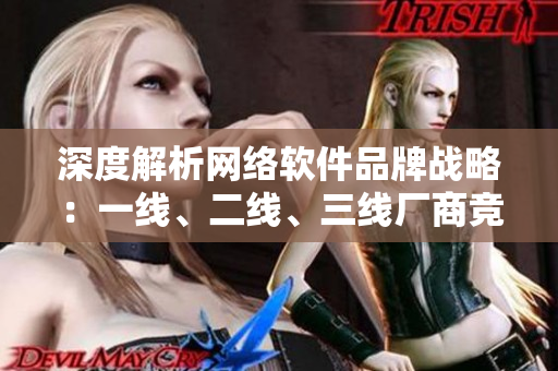 深度解析网络软件品牌战略：一线、二线、三线厂商竞争激烈