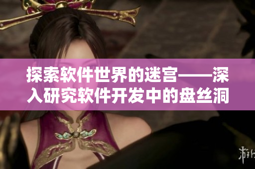 探索软件世界的迷宫——深入研究软件开发中的盘丝洞