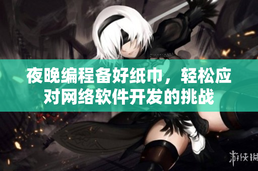夜晚编程备好纸巾，轻松应对网络软件开发的挑战