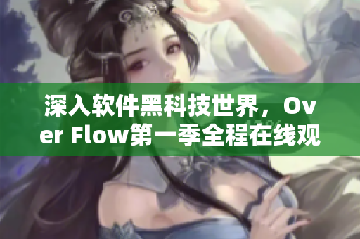 深入软件黑科技世界，Over Flow第一季全程在线观看
