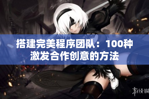 搭建完美程序团队：100种激发合作创意的方法