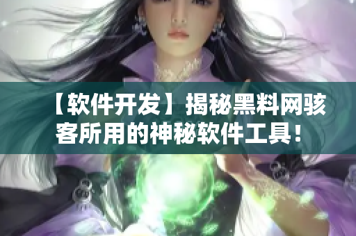 【软件开发】揭秘黑料网骇客所用的神秘软件工具！
