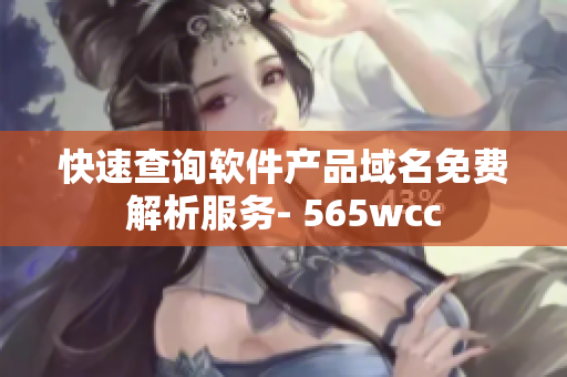快速查询软件产品域名免费解析服务- 565wcc