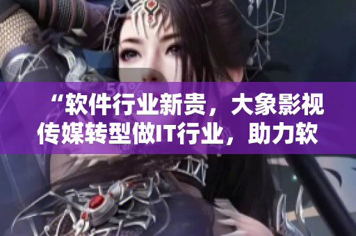 “软件行业新贵，大象影视传媒转型做IT行业，助力软件产业发展”