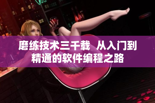 磨练技术三千载  从入门到精通的软件编程之路
