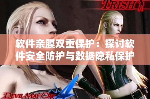 软件亲膜双重保护：探讨软件安全防护与数据隐私保护