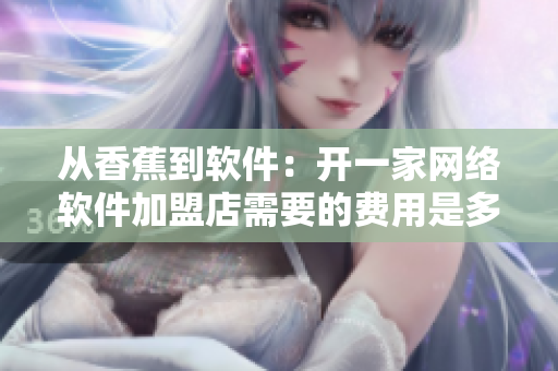 从香蕉到软件：开一家网络软件加盟店需要的费用是多少？