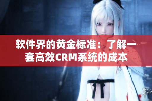 软件界的黄金标准：了解一套高效CRM系统的成本