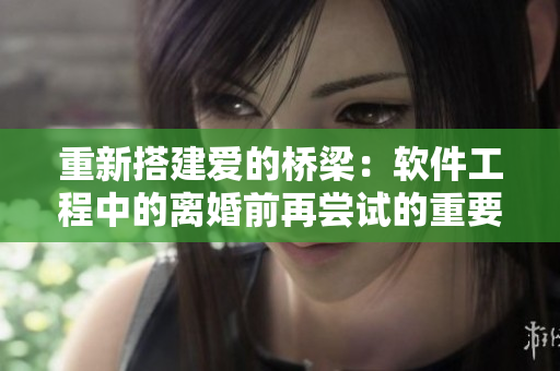 重新搭建爱的桥梁：软件工程中的离婚前再尝试的重要性