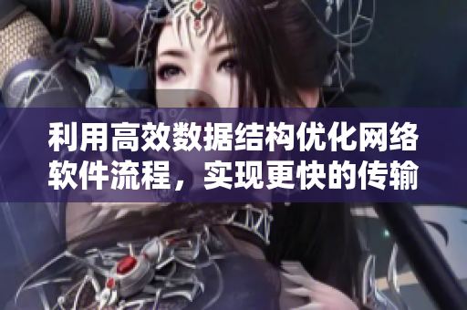 利用高效数据结构优化网络软件流程，实现更快的传输速度和更好的用户体验