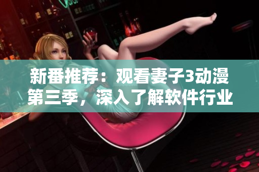 新番推荐：观看妻子3动漫第三季，深入了解软件行业