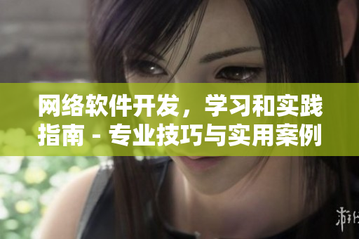 网络软件开发，学习和实践指南 - 专业技巧与实用案例分享