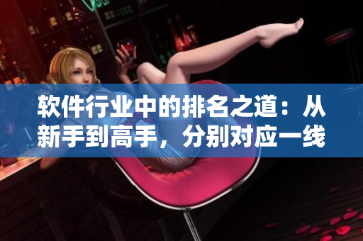 软件行业中的排名之道：从新手到高手，分别对应一线、二线、三线品牌
