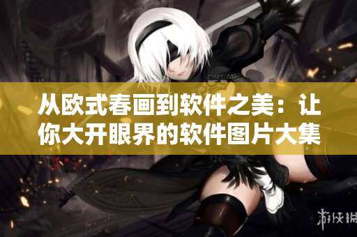 从欧式春画到软件之美：让你大开眼界的软件图片大集锦