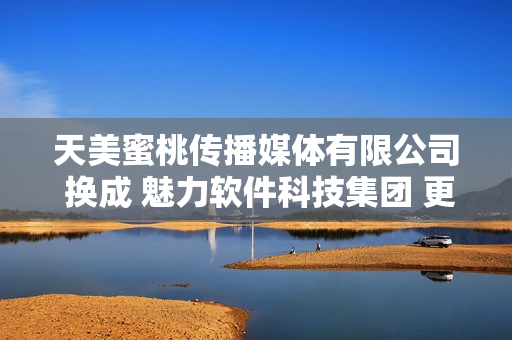 天美蜜桃传播媒体有限公司 换成 魅力软件科技集团 更适合吗？