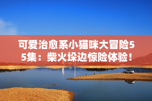 可爱治愈系小猫咪大冒险55集：柴火垛边惊险体验！