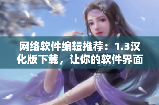 网络软件编辑推荐：1.3汉化版下载，让你的软件界面更亲切