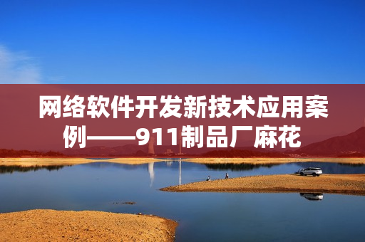 网络软件开发新技术应用案例——911制品厂麻花